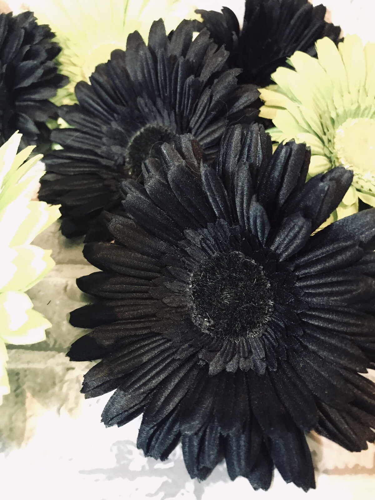 Gerber Silk Daisies 4 1/2” Flowers No Stem Black & Green Vase Fillers Crafts X8