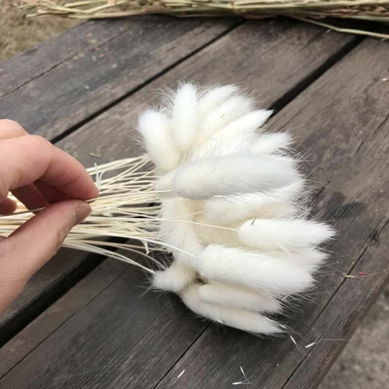 35-40CM 50PCS Dry Bunny Tail Grass Dried Natural Flower Rabbittail DIY Decor NEW
