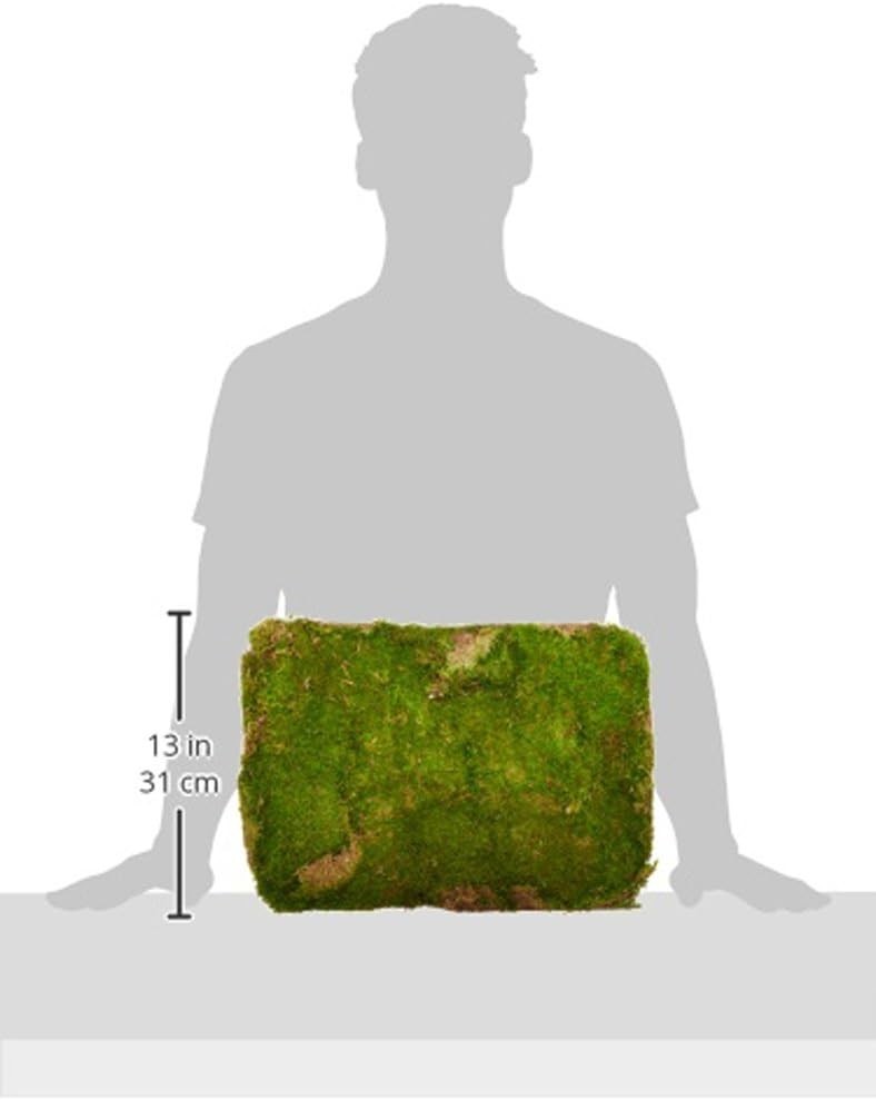 Large Flat Moss Sheets, 20-24 Sq Ft