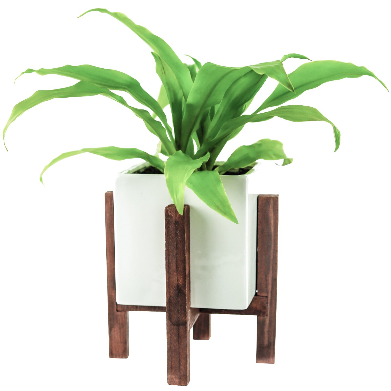 Modern Square Indoor Plant Pot with Stand Included 5″ white pot with drainage