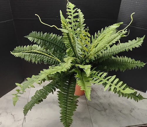 Artificial Boston Fern Silk Flower Arrangements pbf209-GR