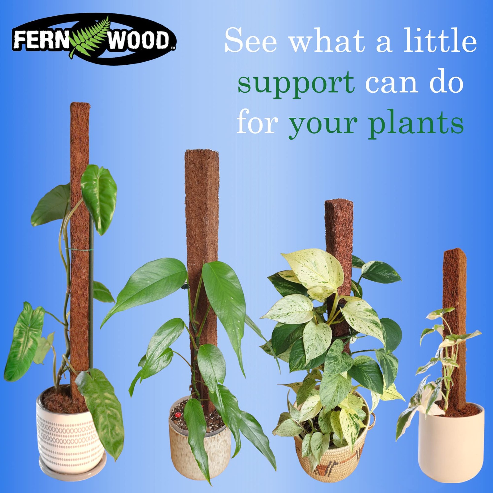 Tree Fern Totem Board- for Orchids, Aroids, and Other Climbing Plants | Soft,…