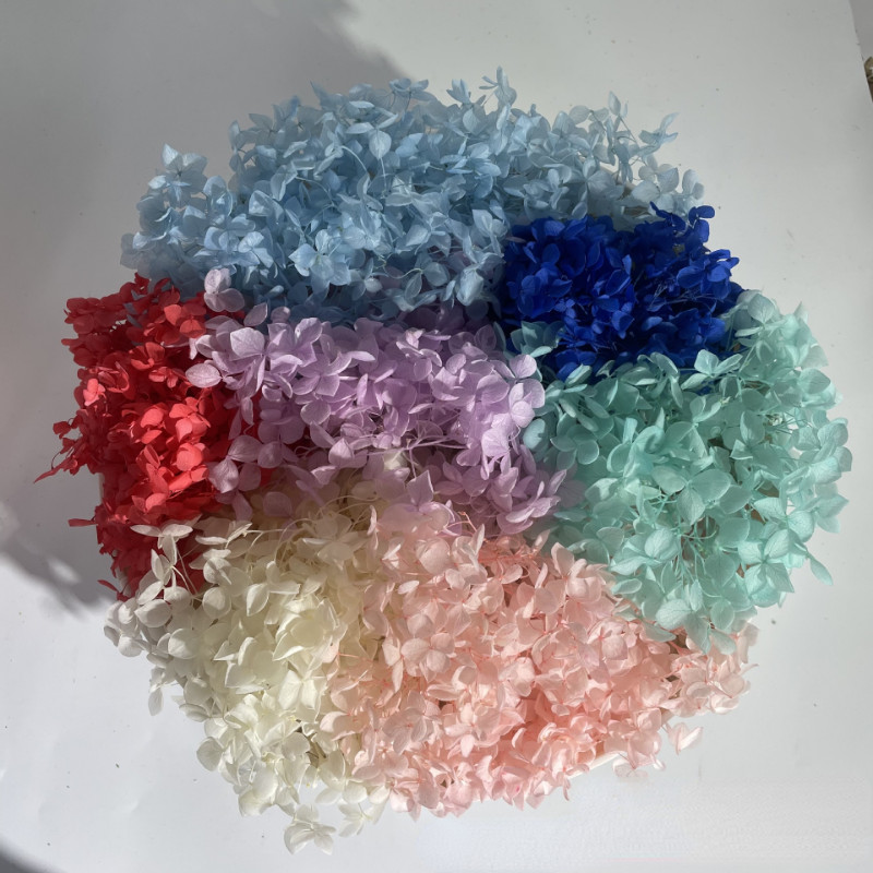 50g Bulk Dried Artificial Flowers for Gift Photograph Props Party Wedding Decor