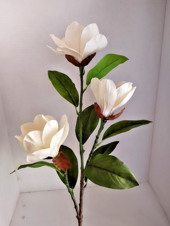 Magnolia stem bush CREAM