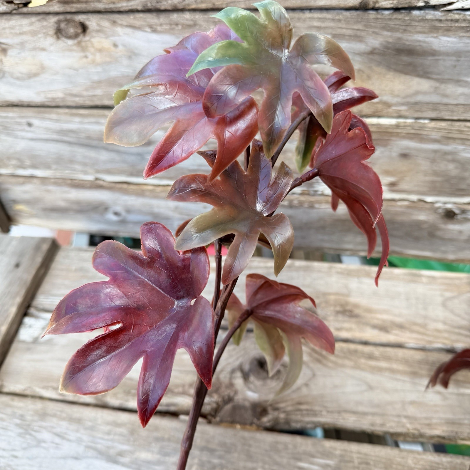 MCM Plastic Houseplant Stem Spider Plants and Japanese Maple Tiki Bar