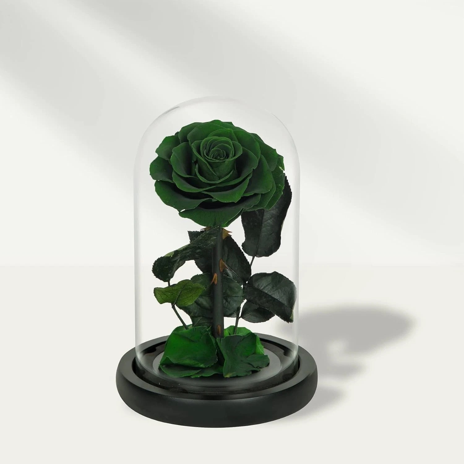 Elegant Handmade Preserved Roses in Glass Dome – Lasting Green Floral Gift