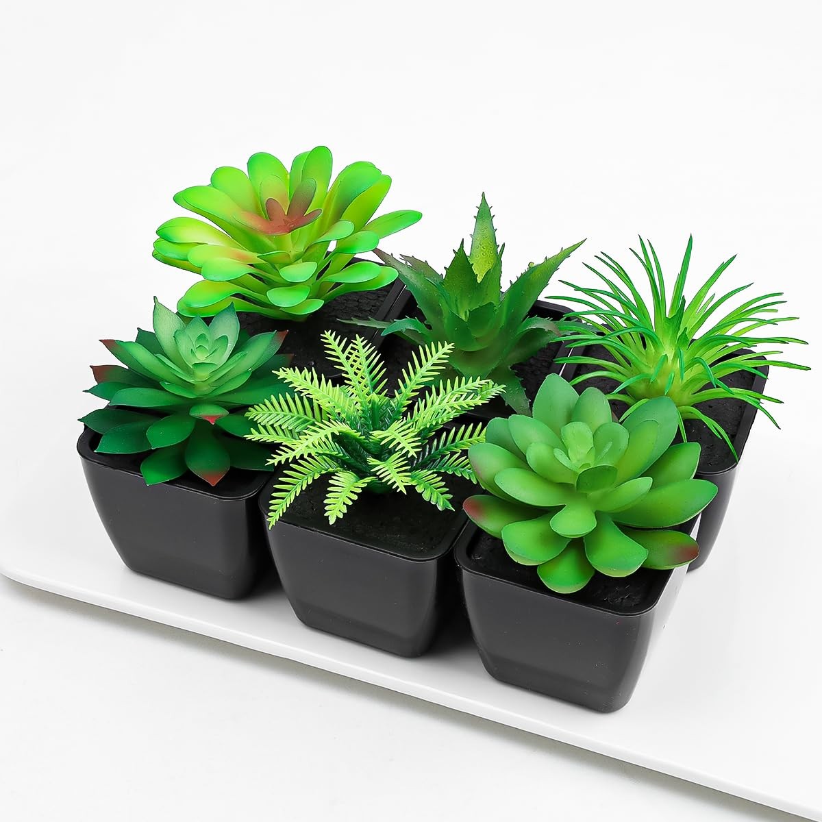 Artificial Succulent Plant 6 PCS Potted Small Fake Greenery Black Pots
