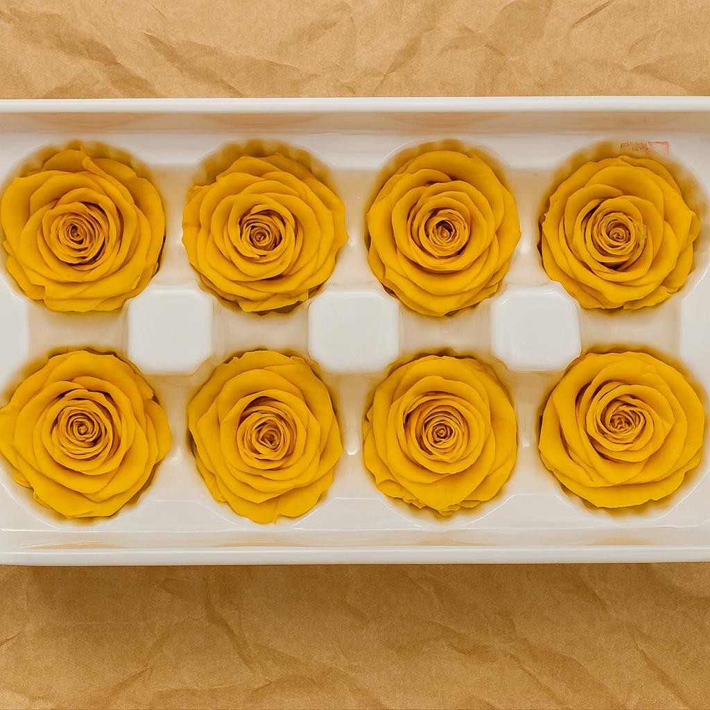 8 Preserved Yellow Roses Real Eternal Flowers DIY Crafts Wedding Gift Decor