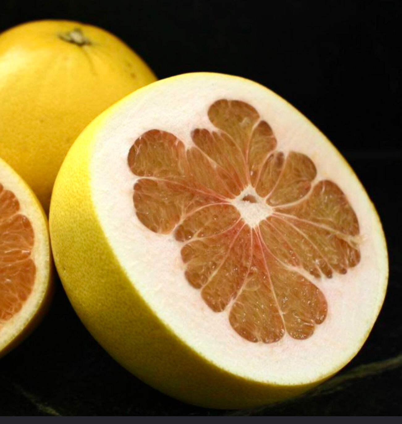 Citrus grandis o C. Maxima (POMELO or PUMMELO SHADDOCK) – POMELO PLANT