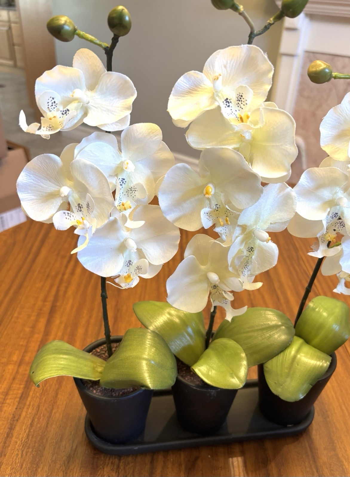 Silk Flowers In Pots Table Shelf Decor Two Arrangements Orchids