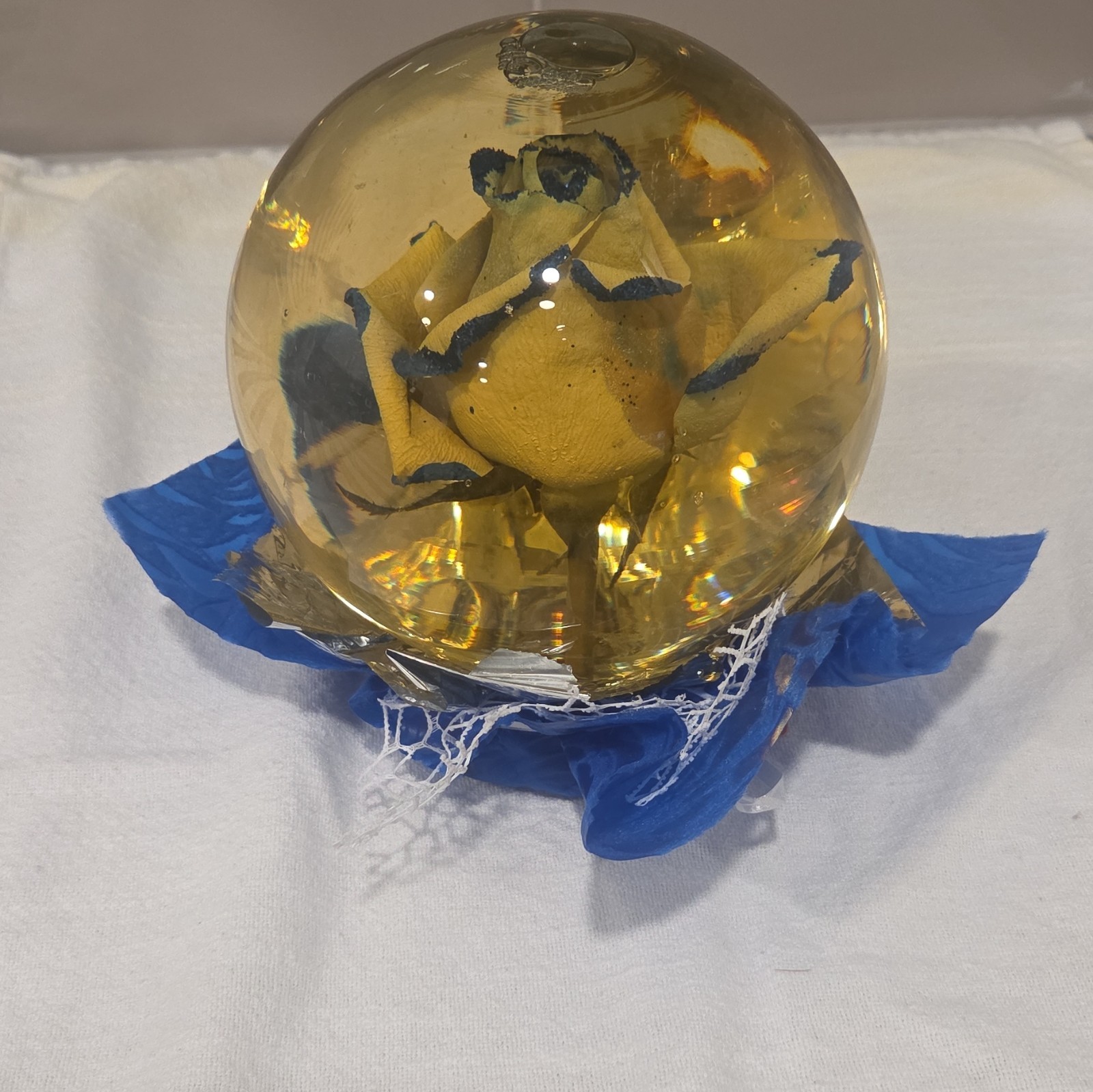 Mexiflower Rose Glass Bubble Fresh Rose Arrangement & Centerpiece, Yellow/Blue