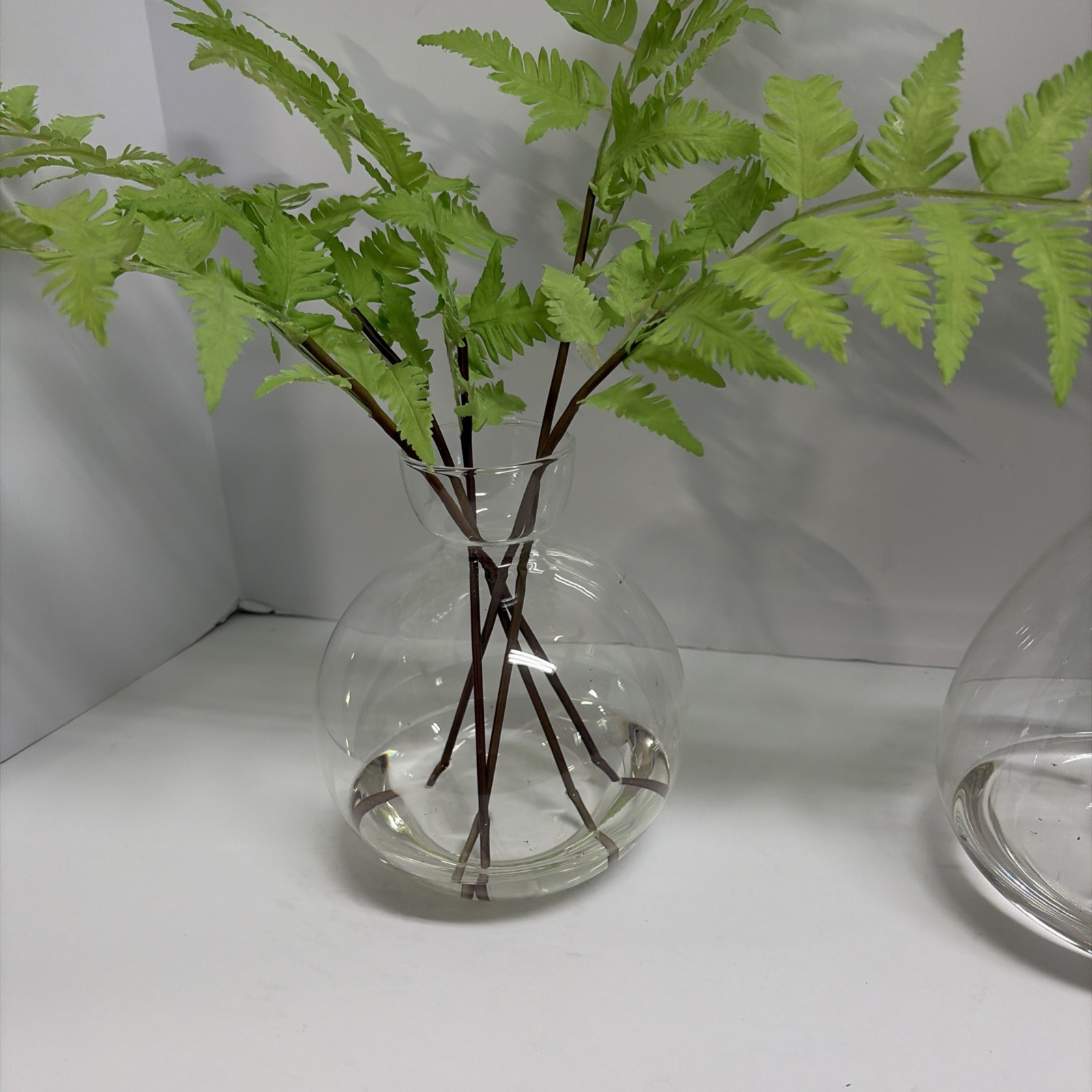 Uttermost Country Ferns and Glass Vases (Set of 2)