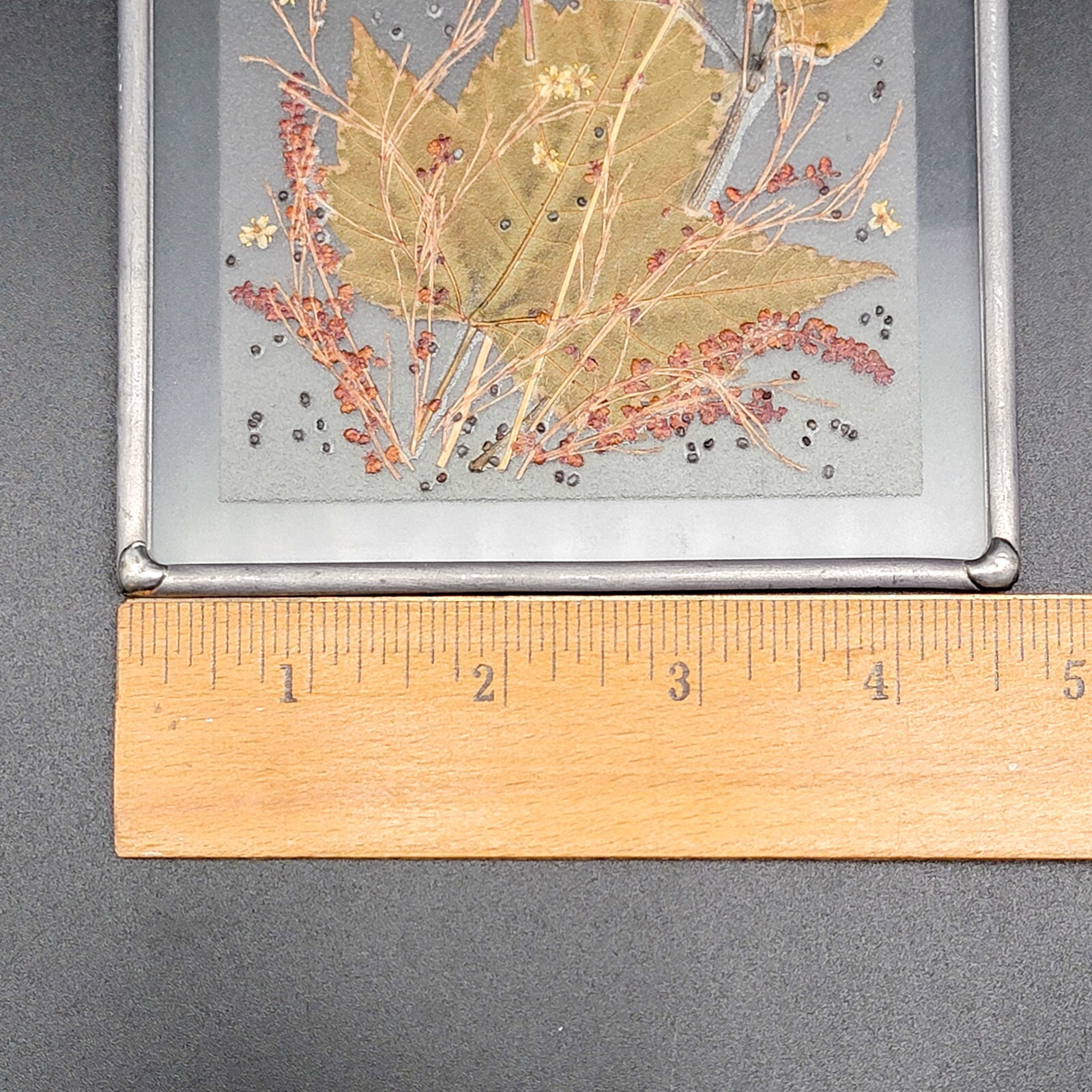 Canada Henni Original Pressed Leaves Seeds Glass Window Hanging Original Label
