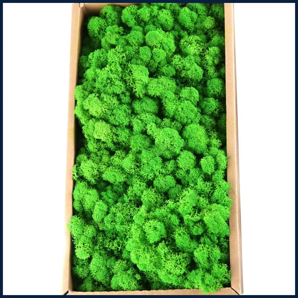 20g Artificial Green Moss Plants Fake Grass Eternal Life Grass Mini Landscape