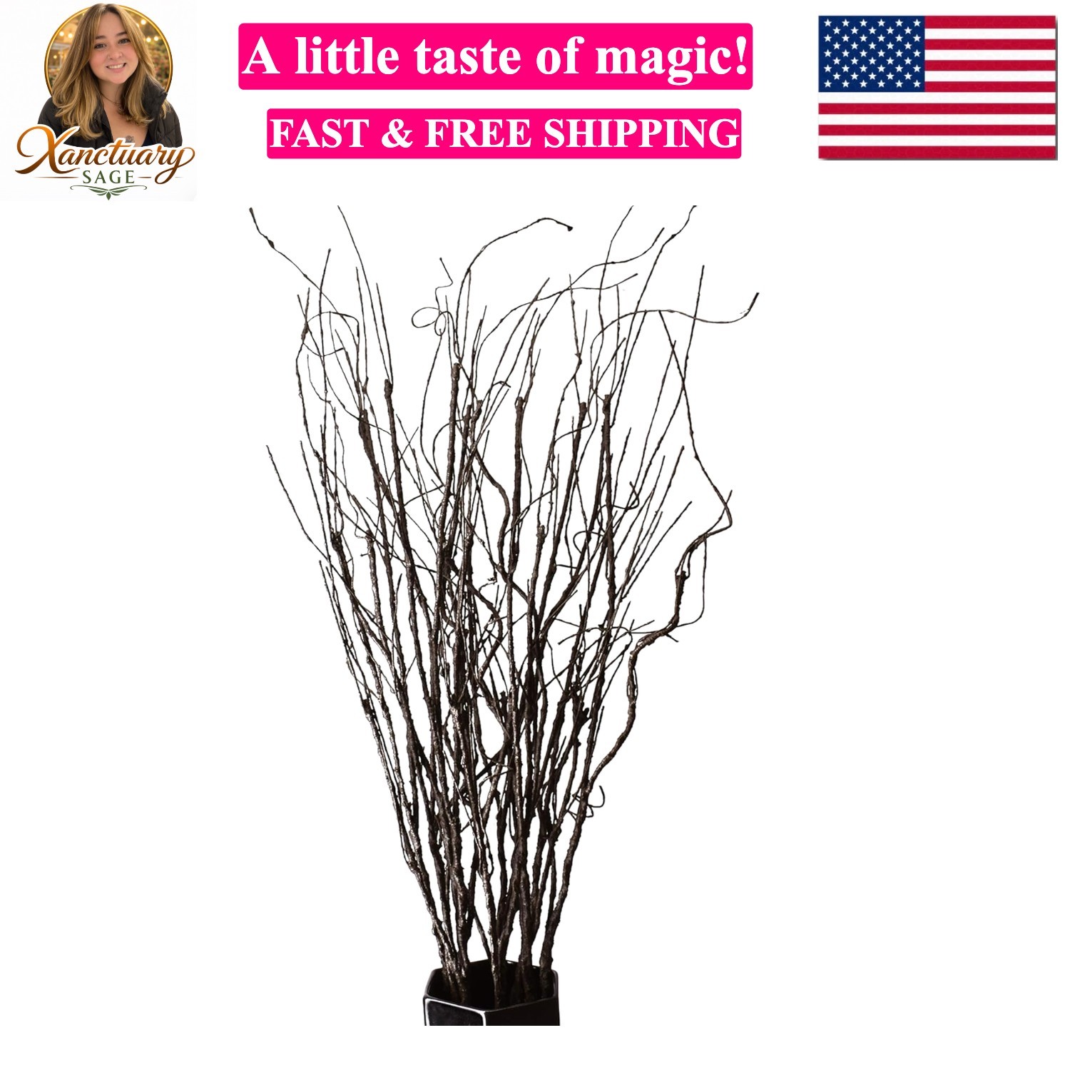 10PCS Lifelike Curly Willow Branches Decorative Dried Artificial Twigs, 30.7 …