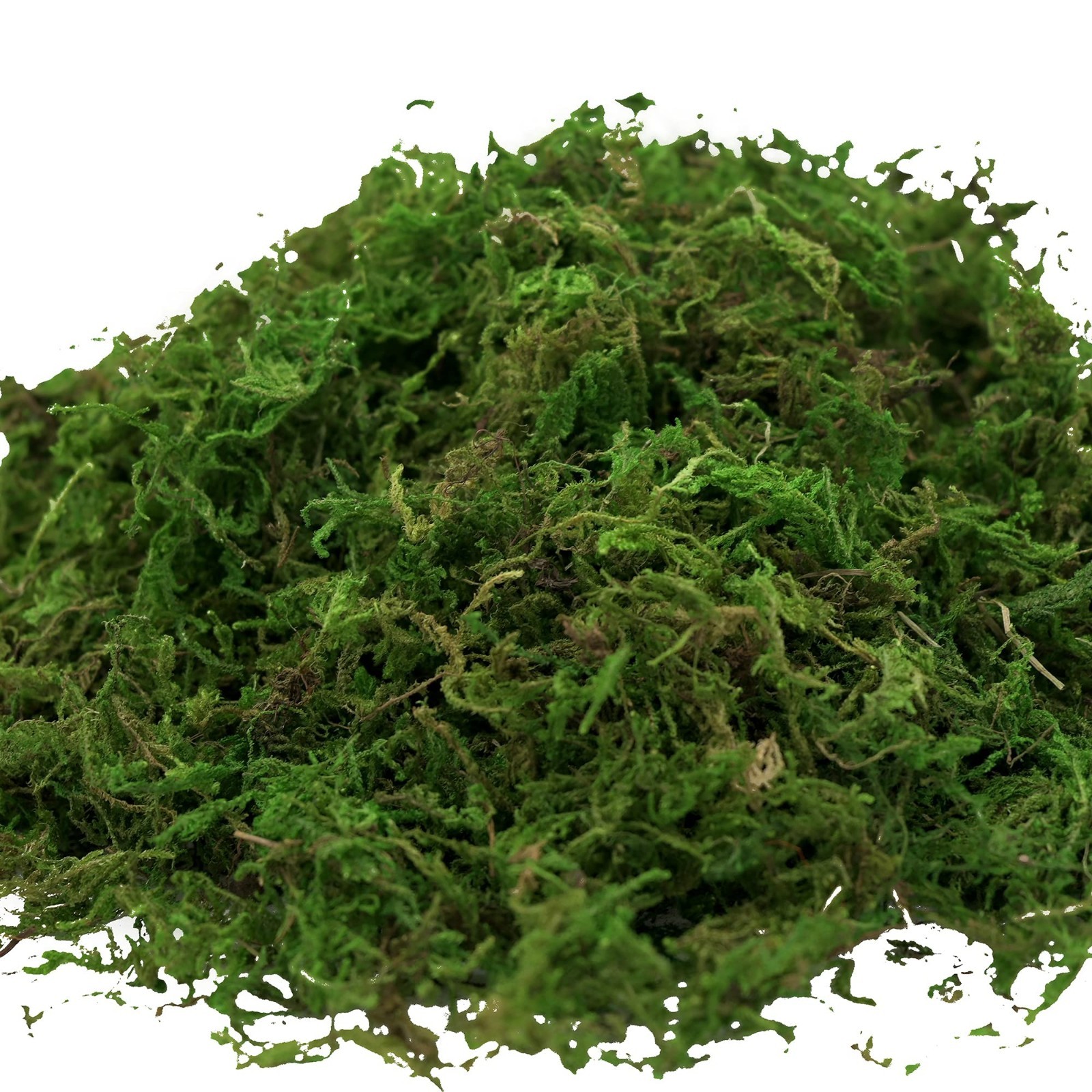 16oz Artificial Moss for Crafts & Decor – Faux Grass for Fairy Gardens & Centerp
