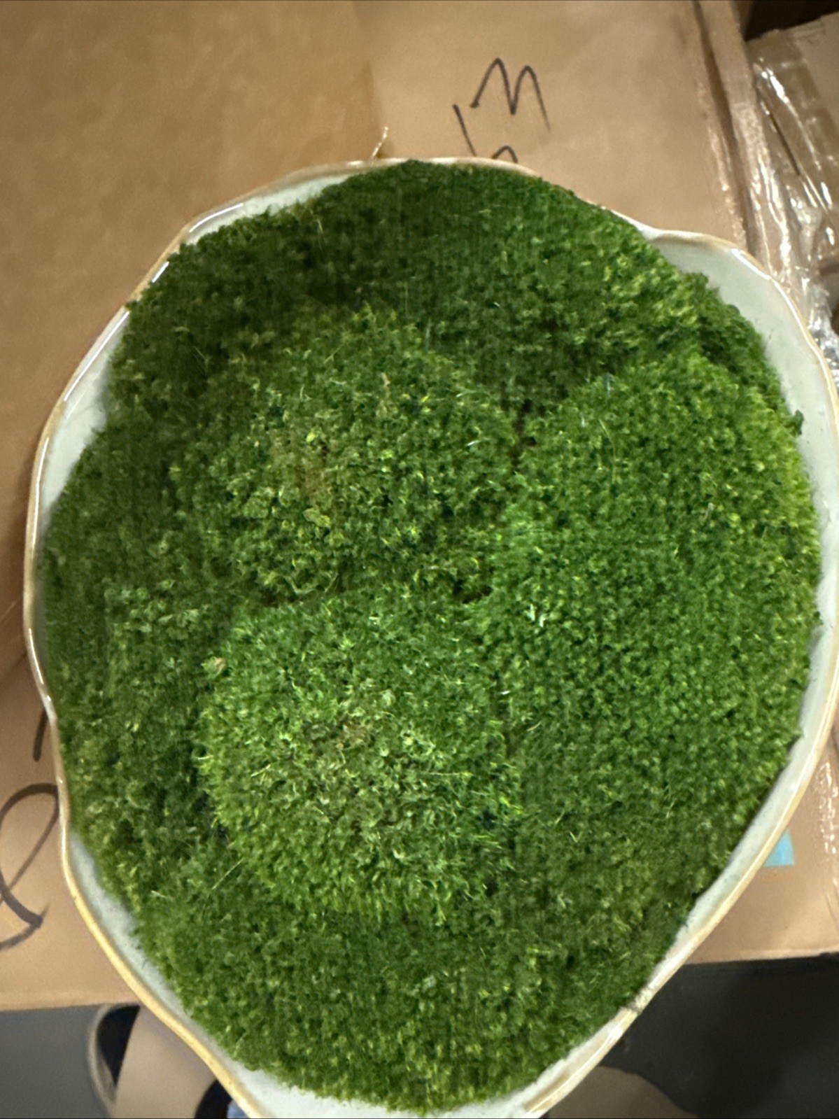 Diane James Home – MOSSY MOOD $410
