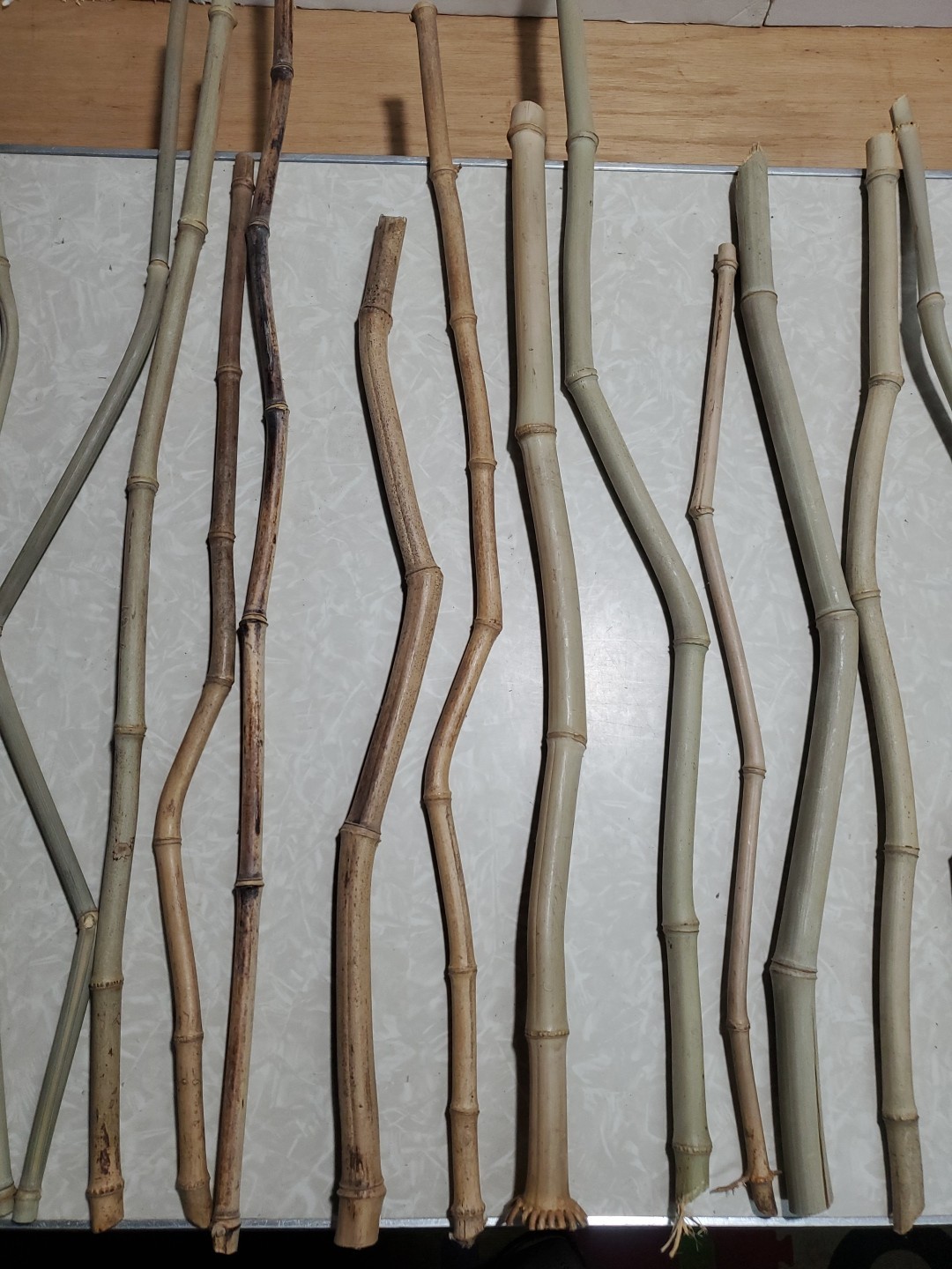 50 Decorative Grown & Processed in USA Crooked Stem/YellowG Bamboo 20-32″ Pieces