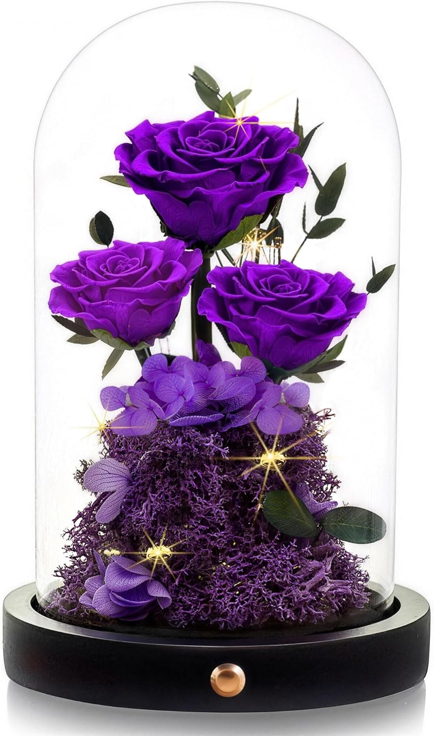 Agrul Birthday Gifts for Women Forever Preserved Flowers Roses in Glass Dome Ann