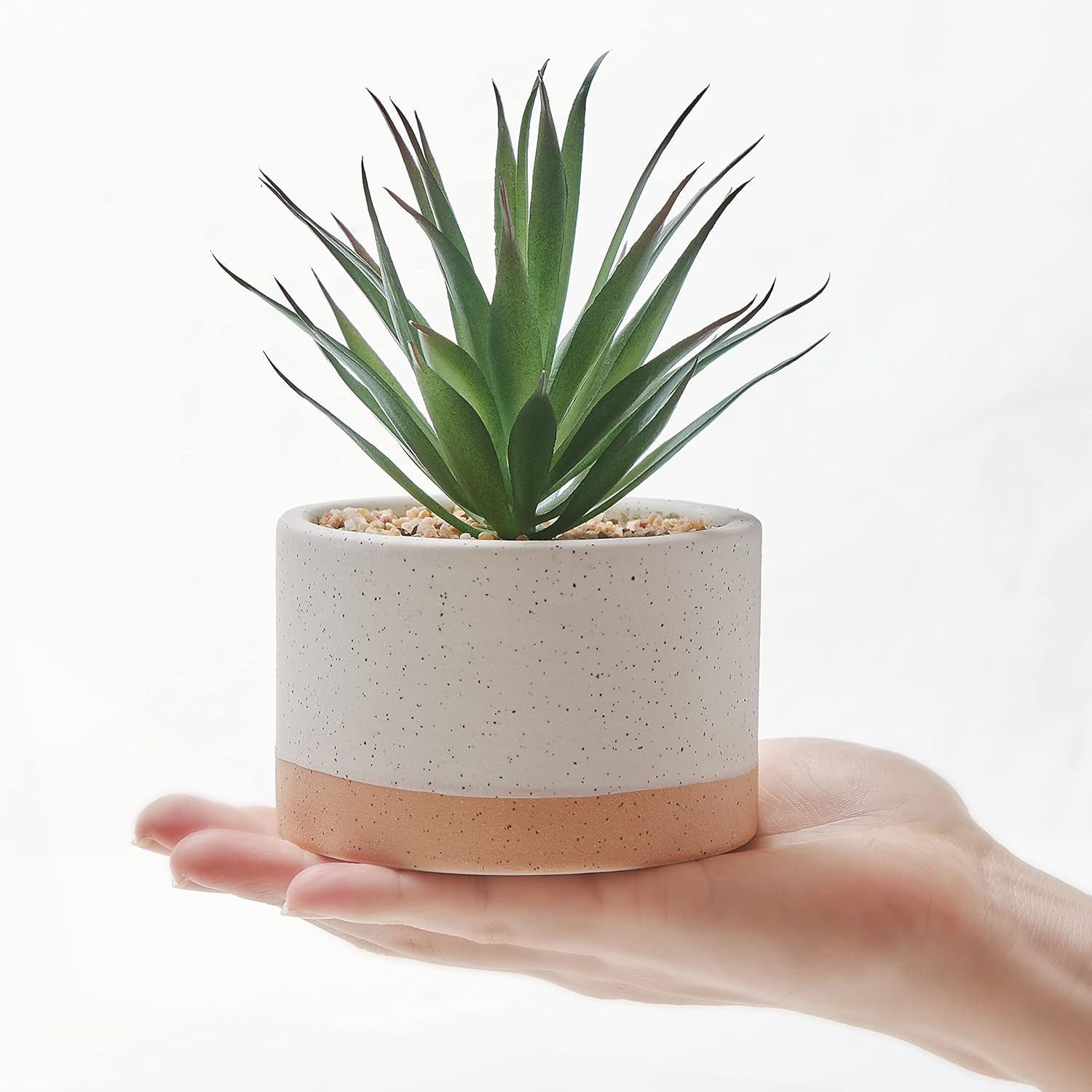 Artificial Succulent Plants in Ceramic Pots, Faux Assorted Succulents Fake Cactu