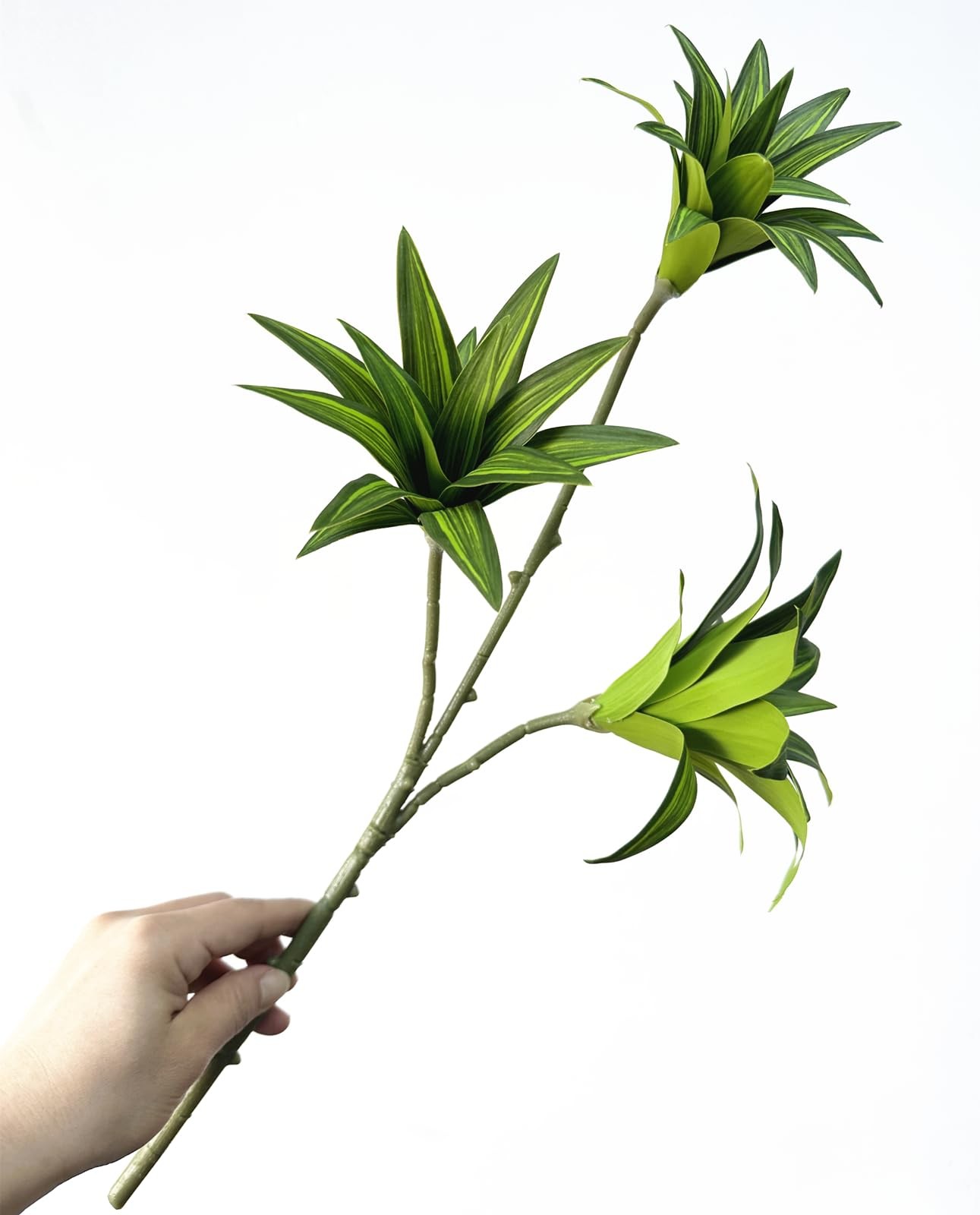 Artificial Dracaena Plant, Faux Branches Plastic Leaves 18.5 Inch Greenery St…