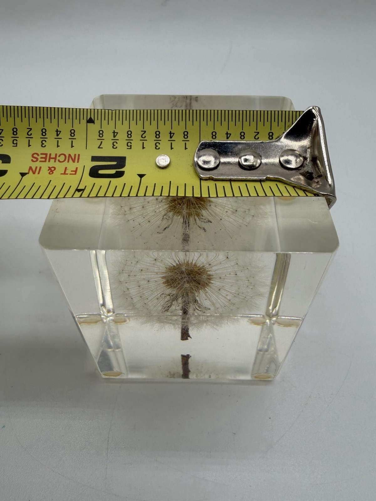 Dandelion Flower Specimen Paperweight 2.25” Resin Cube Acrylic Decor Desk Home