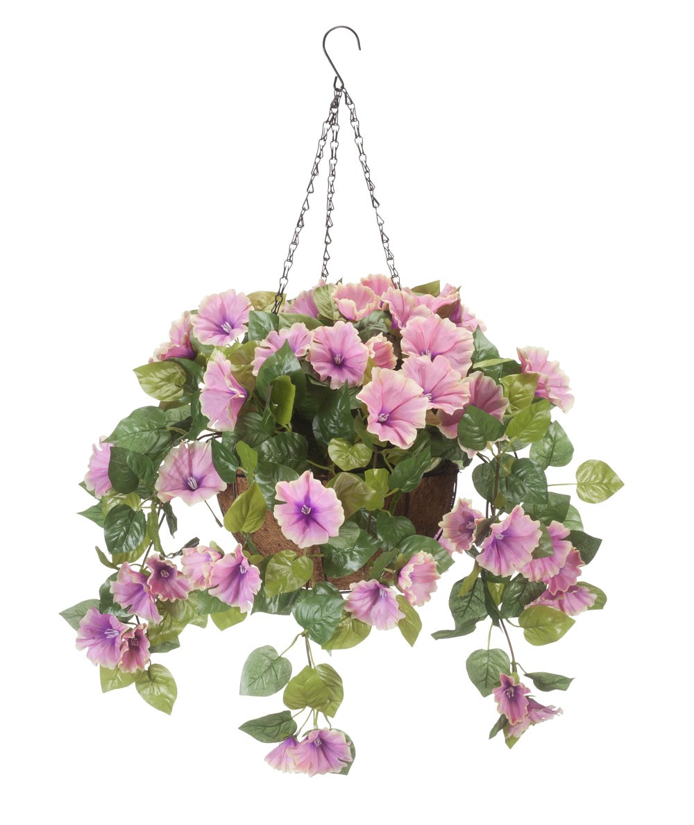 Fully Assembled Petunia Hanging Basket by OakRidge, White