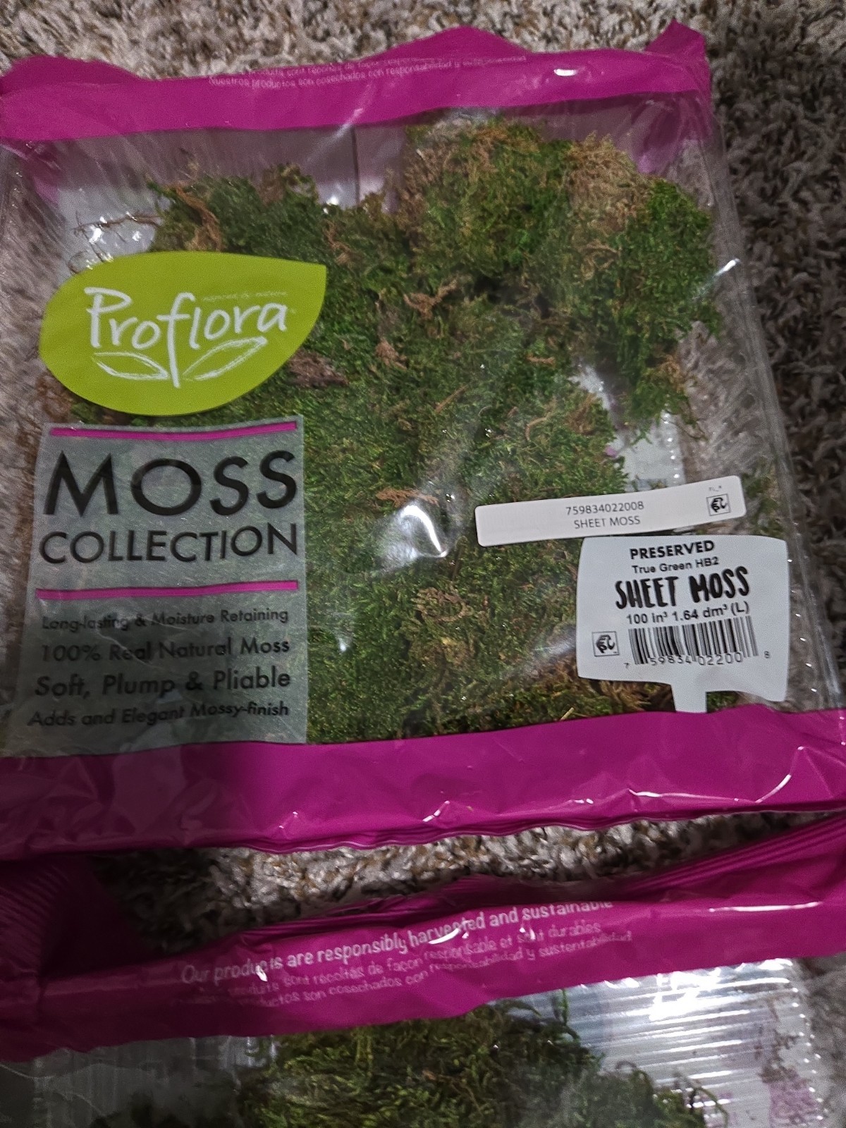 Proflora Preserved Sweet Moss Bundle Lot Of 4
