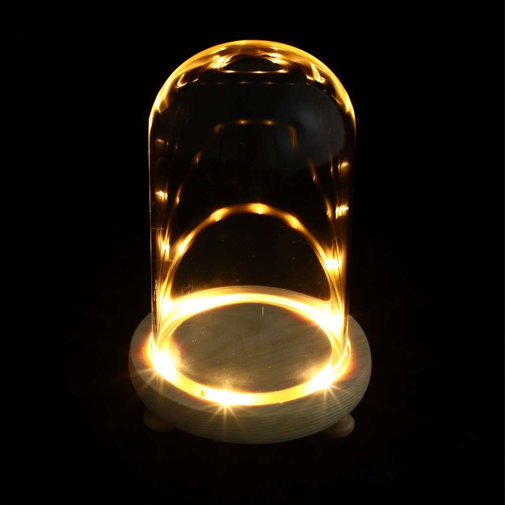 1 Set Creative Preserved Flower Glass Display Cover with Wooden Stand