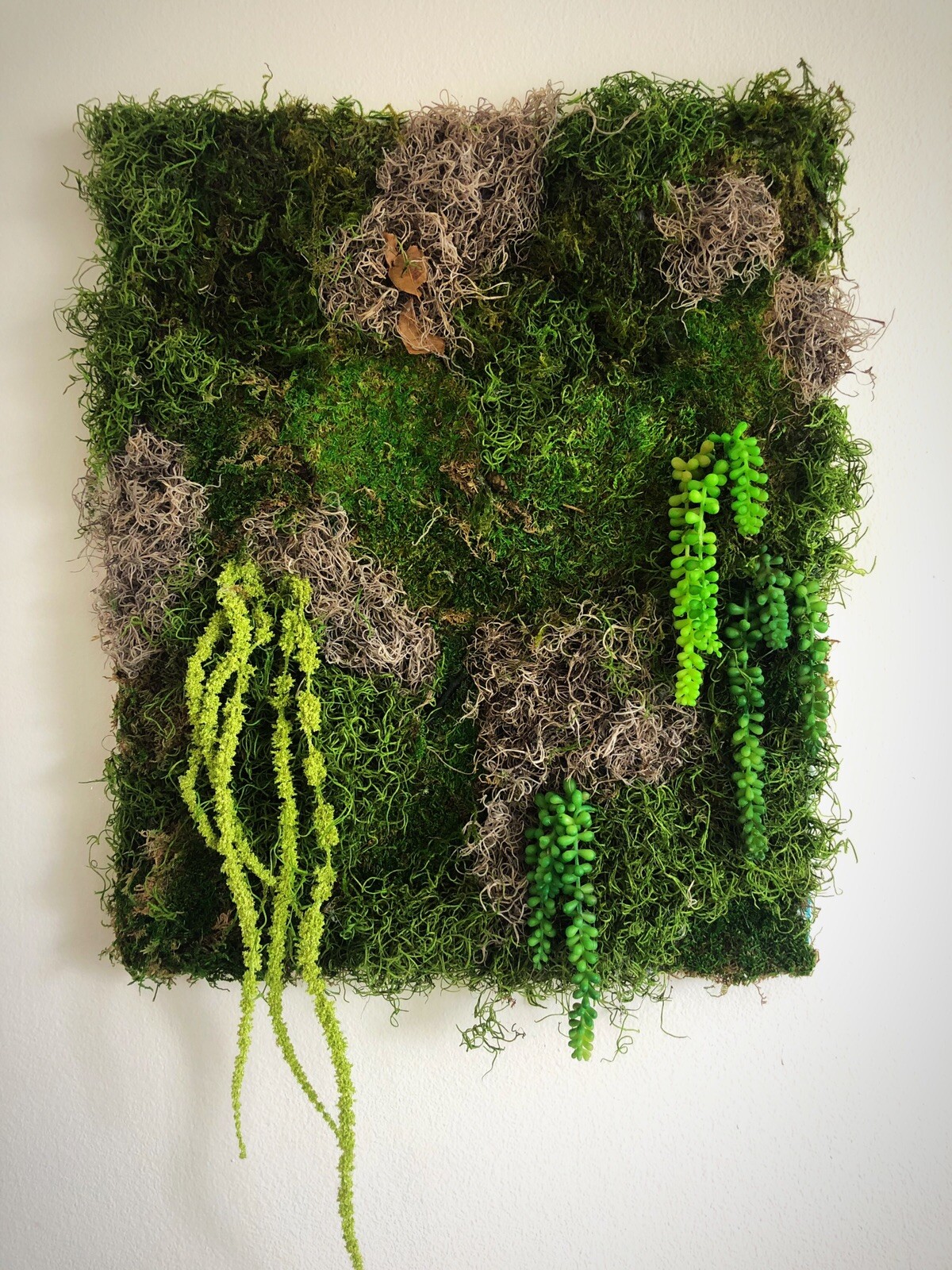 Preserved Moss Wall Art, USA Store