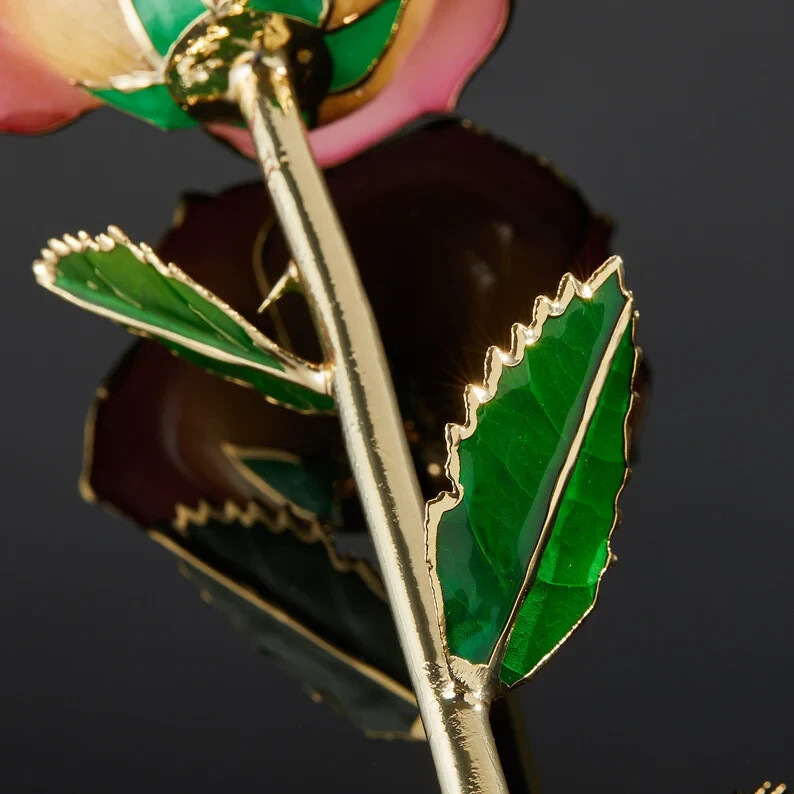 Daya- Forever real preserve rose dipped in gold 24k (Cream/Pink)