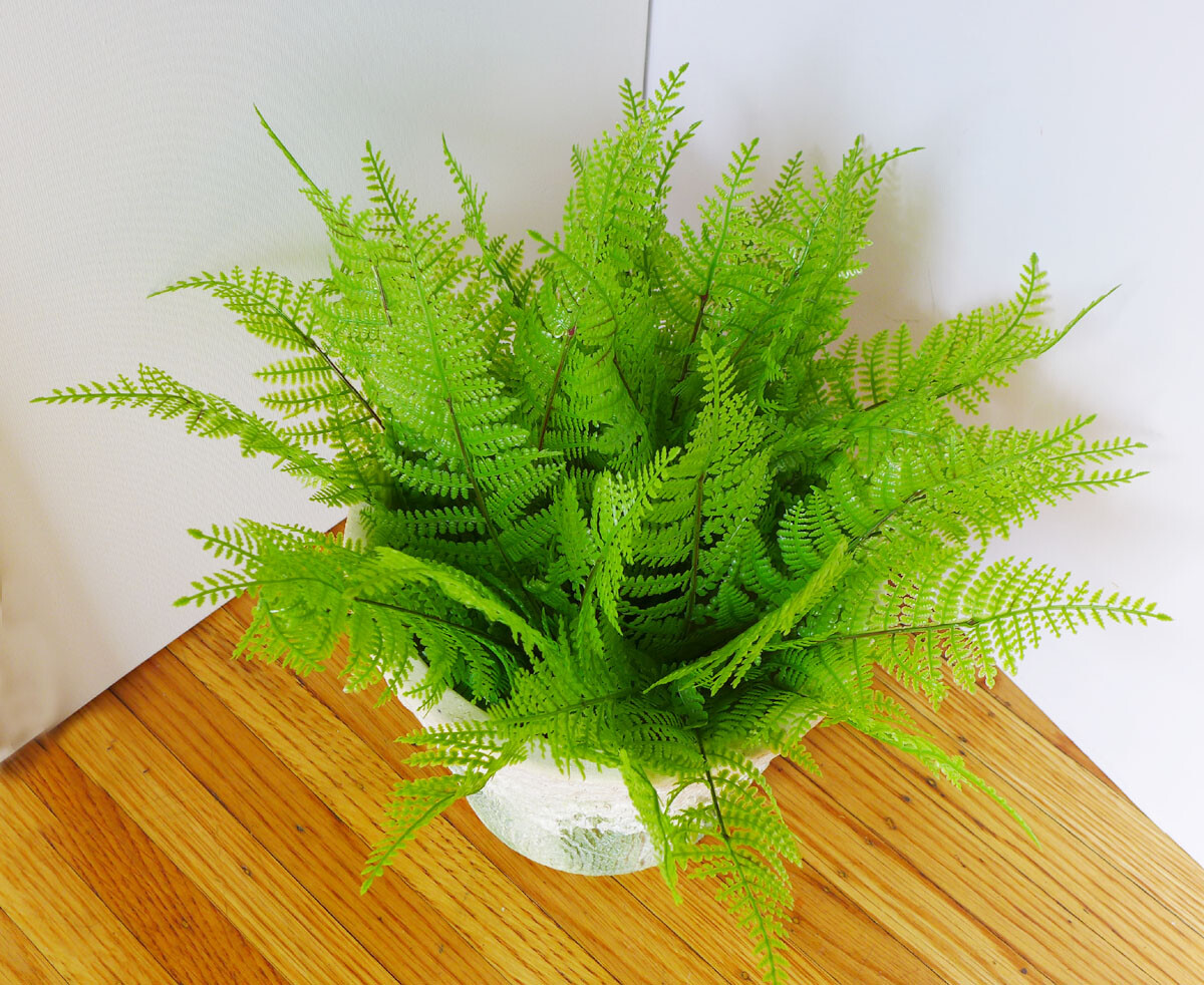 6 Pcs Artificial Plant Small Plastic Boston Fern Tree Grasses
