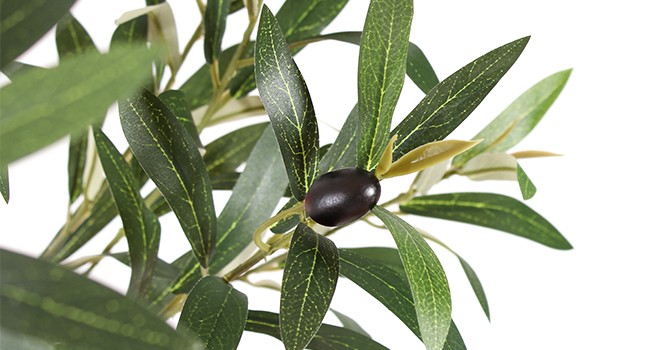 7FT Olive Trees Artificial Indoor, Tall Faux Olive Tree 7FT (84in) with Natural
