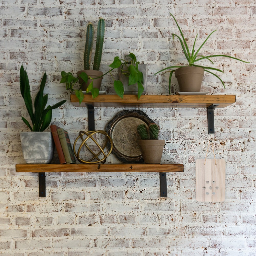 Fern Mounting Board: Wooden Planter – Wall Display Decorative