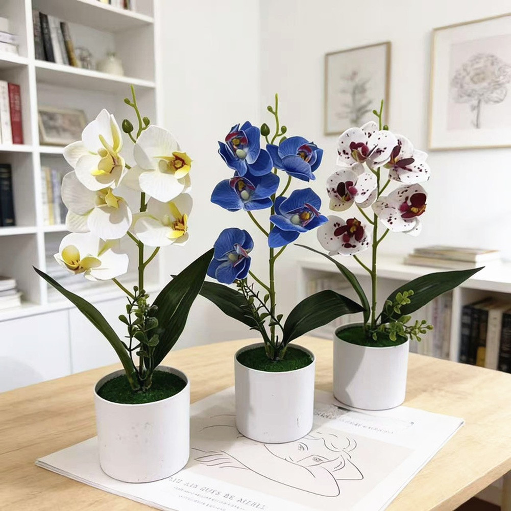 White Yellow Purple Blue Phalaenopsis Orchid Arrangement for Indoor Desk Decor