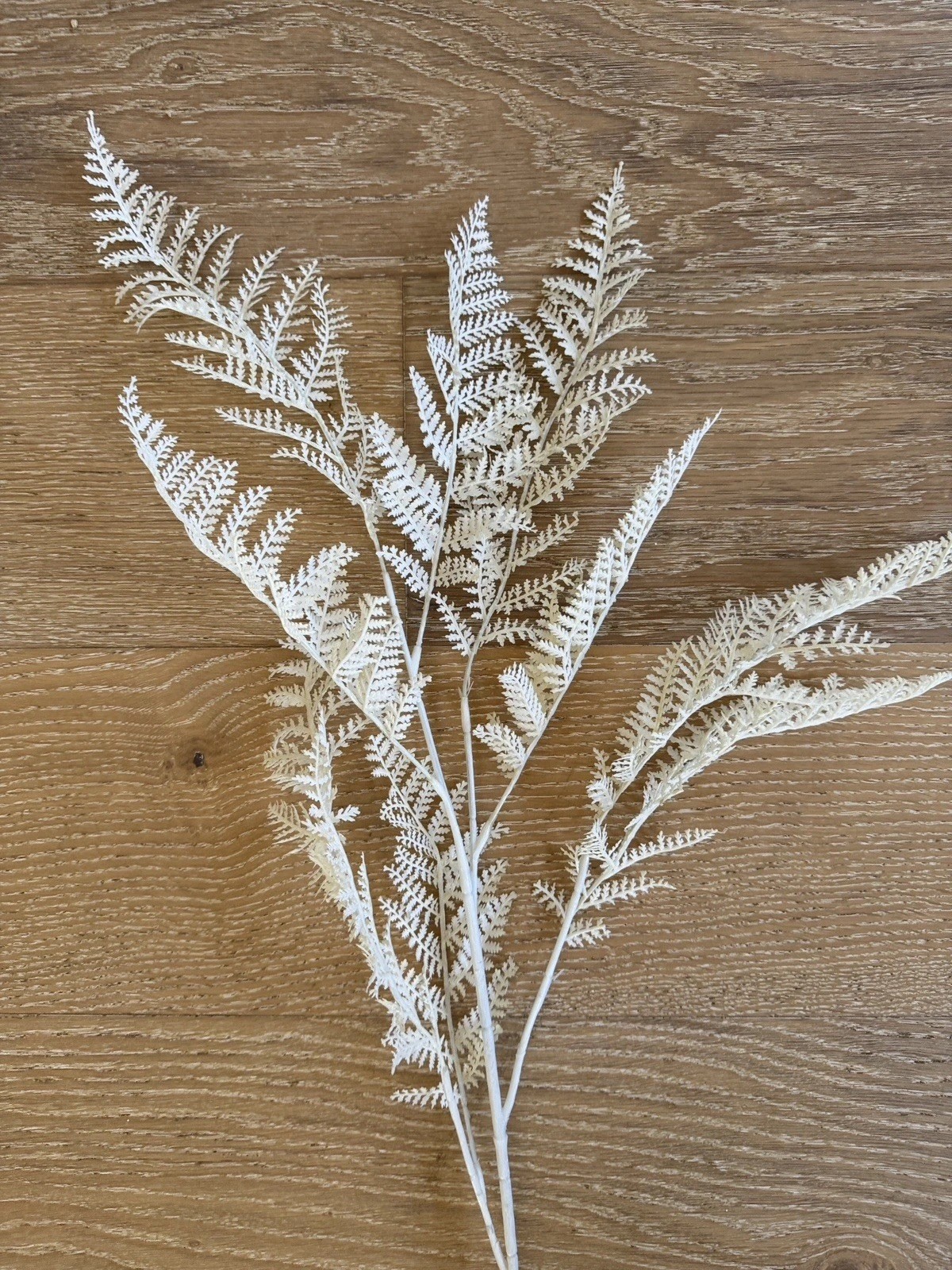 CB2 Modern 36” Faux White Fern & 51” Champagne Gold Willow Leaf Holiday Florals