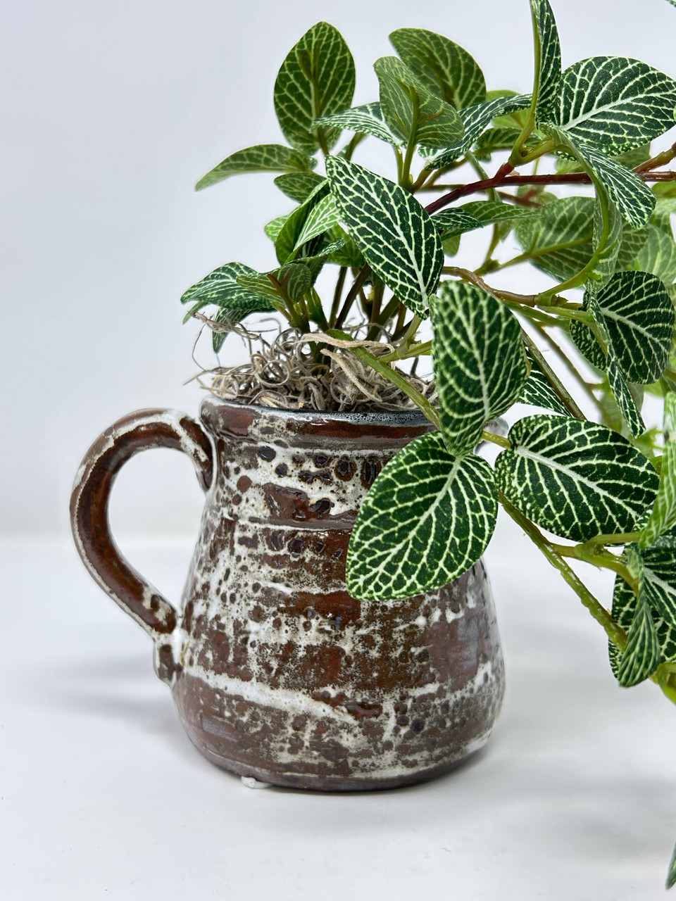 8″ Small Artificial GREEN FITTONIA NERVE faux Silk plant potted in brown Ceramic