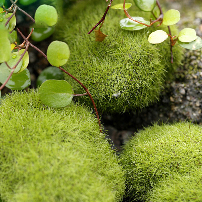 Artificial Moss Stones Grass Fake Rock Green Plant Landscape Garden Decor