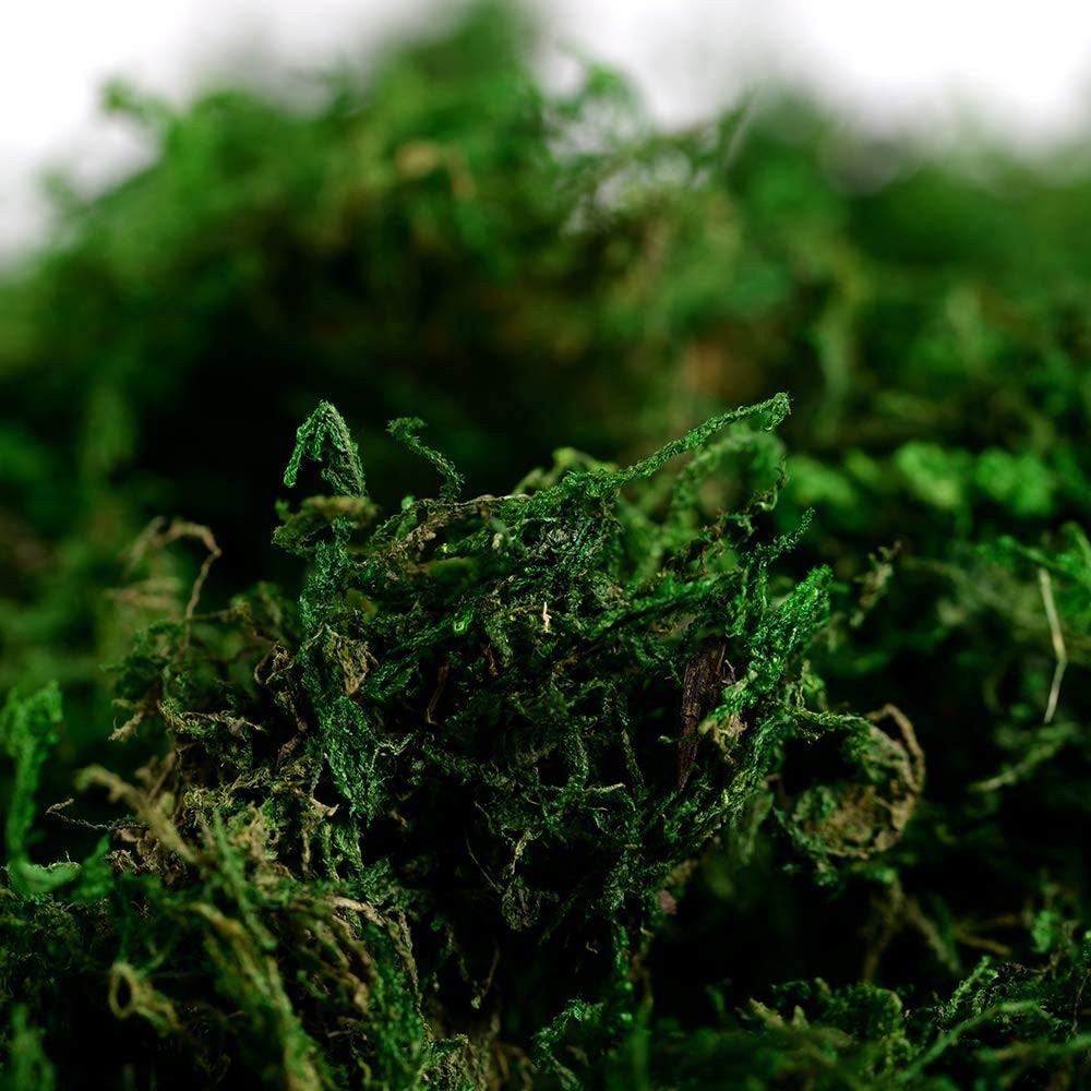 Fake Moss for Crafts Artificial Green Moss for Potted Plants 3.5 Oz Decor