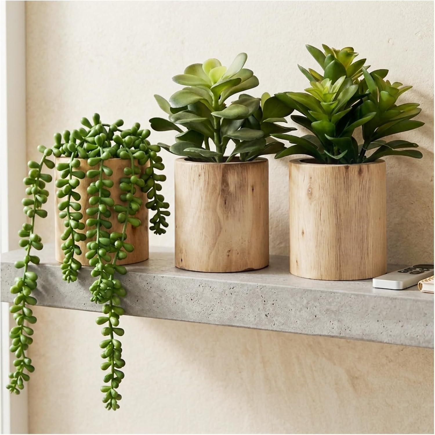 Set of 3 Artificial Succulents in Wooden Pots for Home & Office Decor