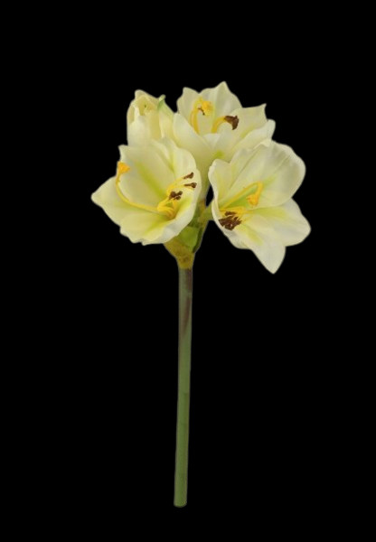 WHITE Artificial amaryllis stem