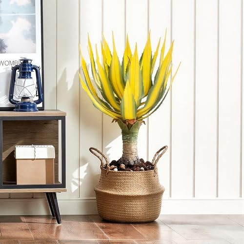 Artificial Green Edged Gold Leaf Spiny Agave Plant with3 Leaves Faux 19.68in 2