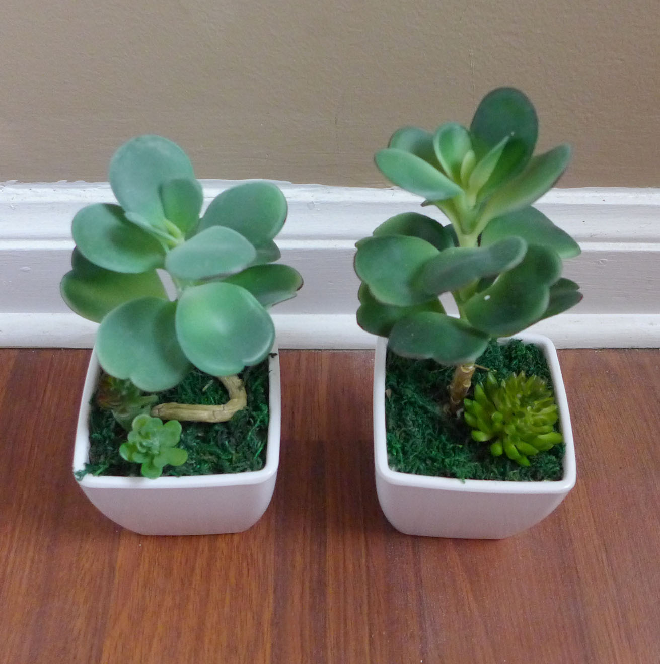 2 Mini Desert Grass Potted Artificial succulent With Pot