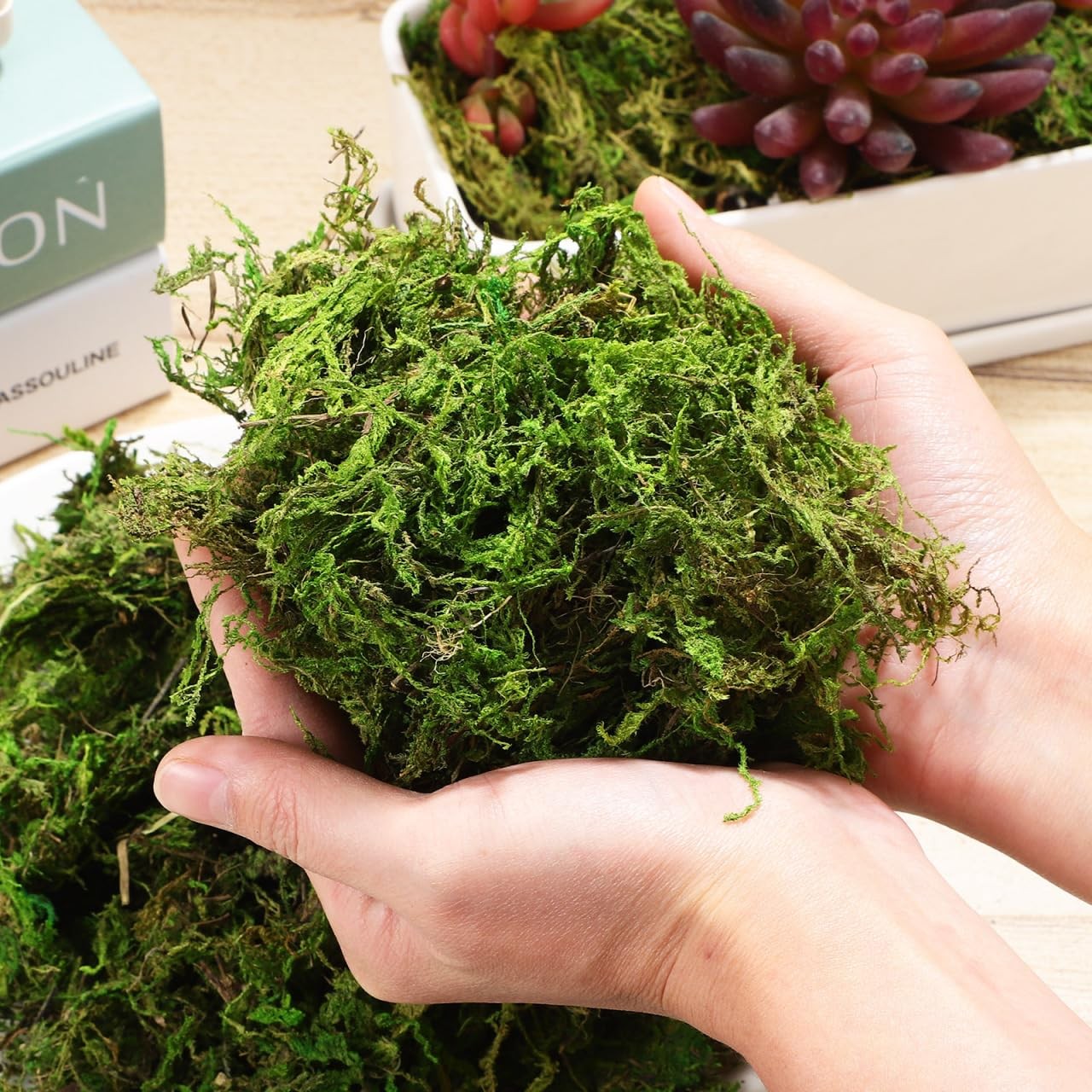 Artificial Fake Moss Green Decorative Faux Moss for Plants Indoor Crafts Home…