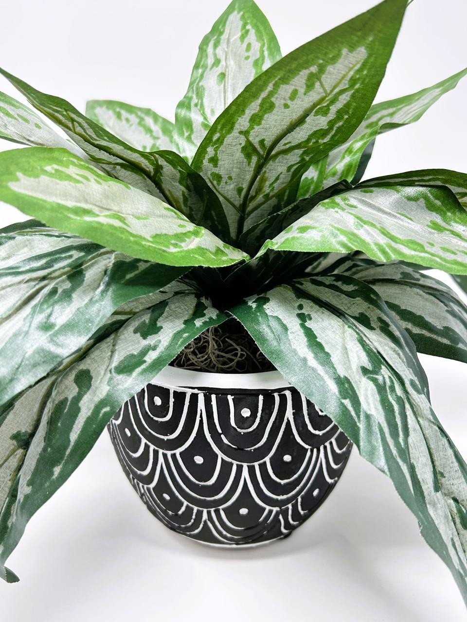 Silk Silver King SWORD plant in Black Ceramic Pot, handmade original by Lower Fo