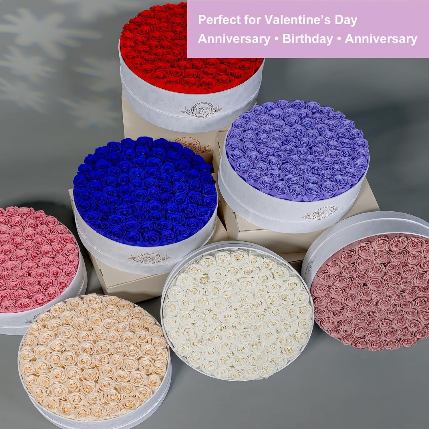 75 Preserved Roses in Suede Box – Luxury Flowers Gift