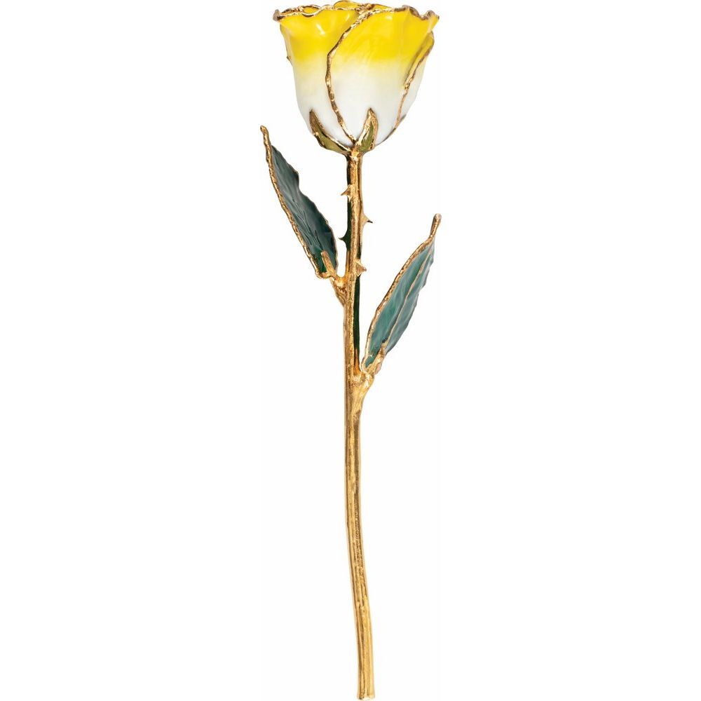 24k Gold Dipped Cream Yellow Lacquer Real Rose Valentine’s Day Holiday Gift