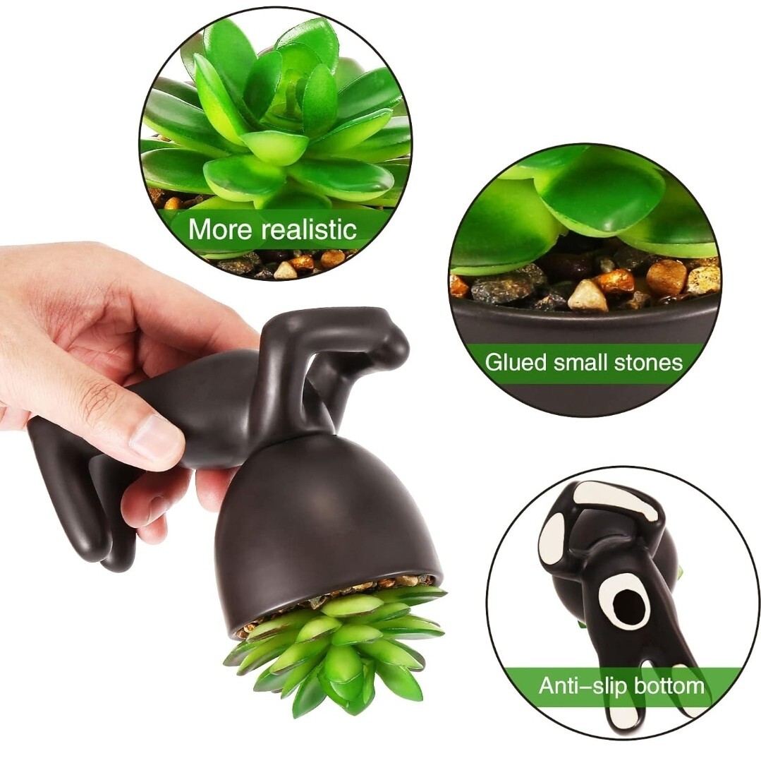 Fake Succulents, Artificial Plants Succulents in Black Modern Human Shaped