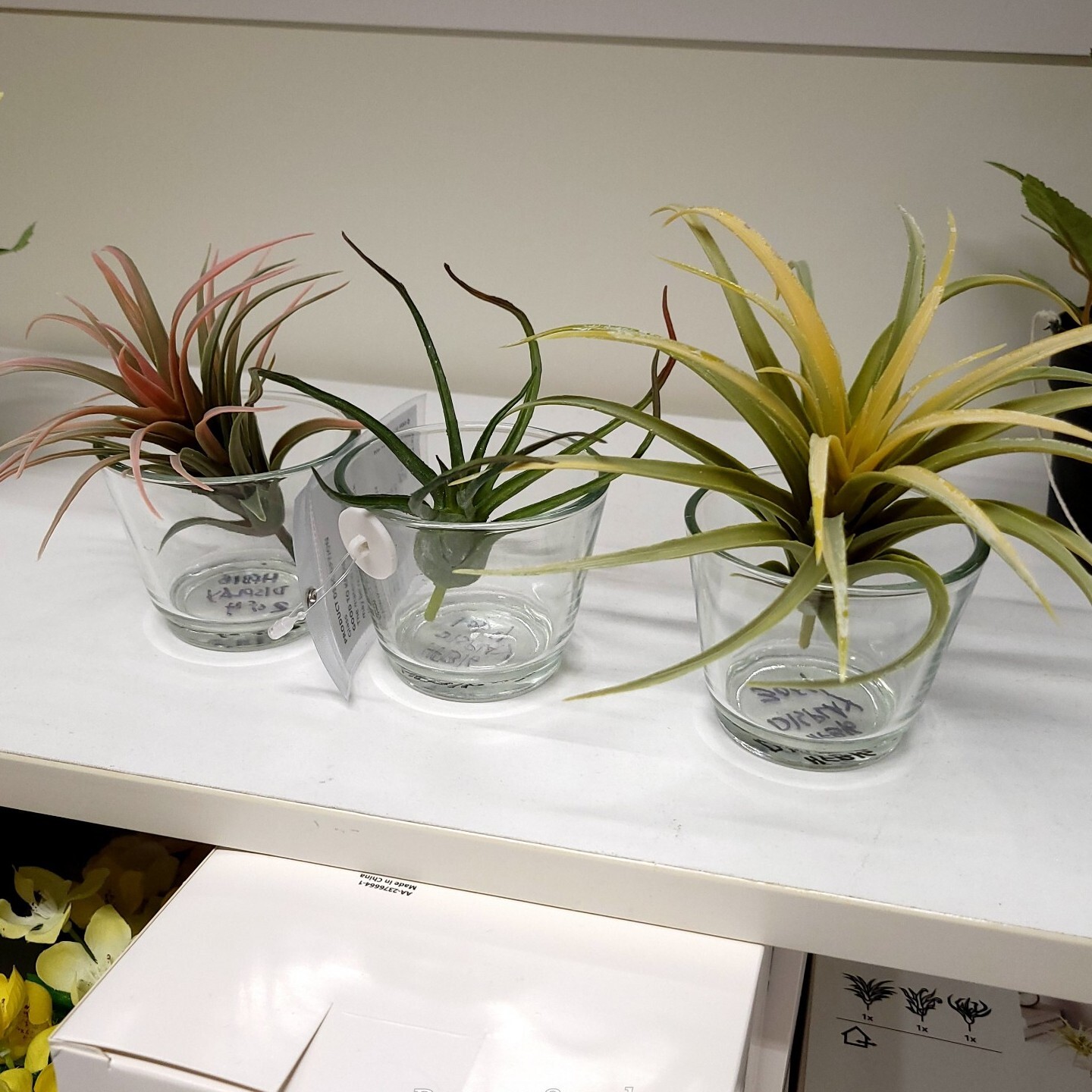 IKEA FEJKA Artificial Plant Set Of 3 Air Plant 805.599.61