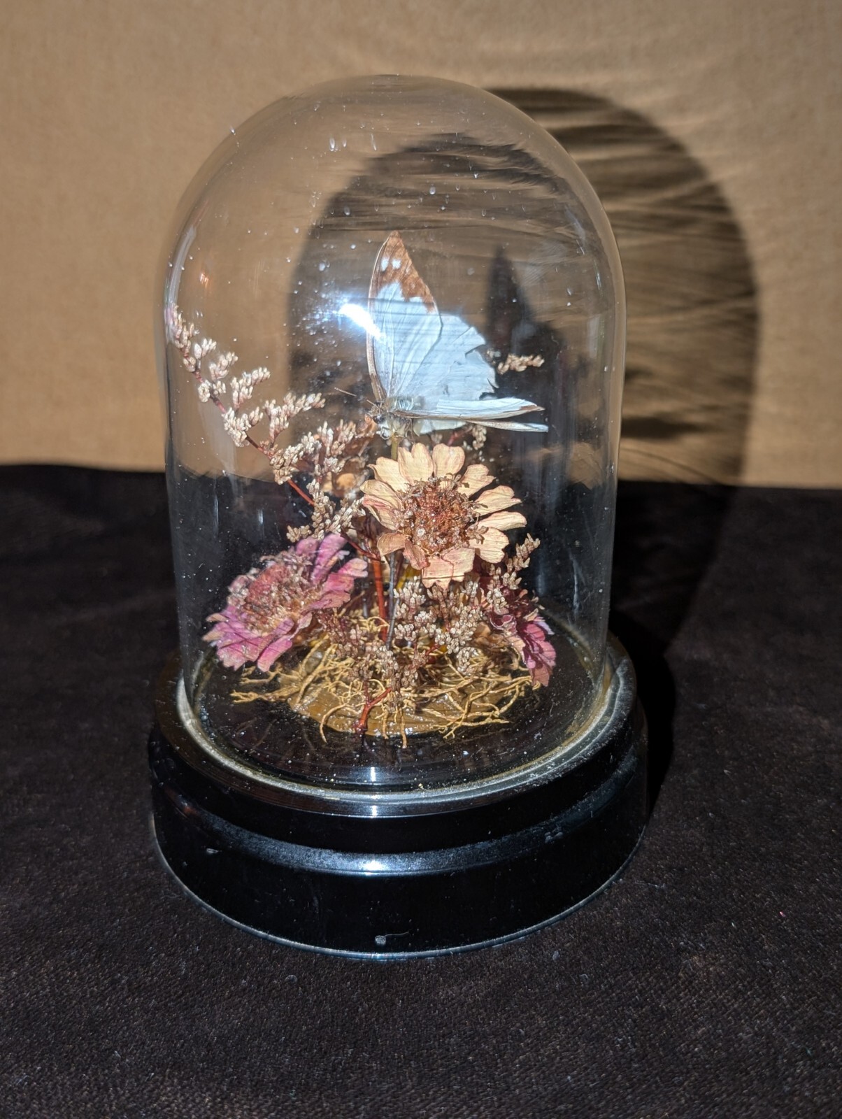 Vintage Glass Dome Butterfly and Flower Arrangement 5in Tall